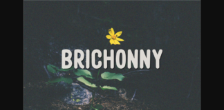 Brichonny Font Poster 1