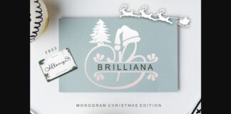 Brilliana Monogram Font Poster 1