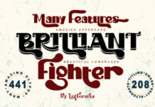 Brilliant Fighter Fonts