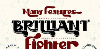 Brilliant Fighter Fonts