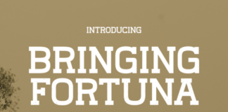 Bringing Fortuna Font