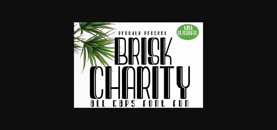 Brisk Charity Font Poster 3