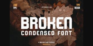 Broken Font Poster 1