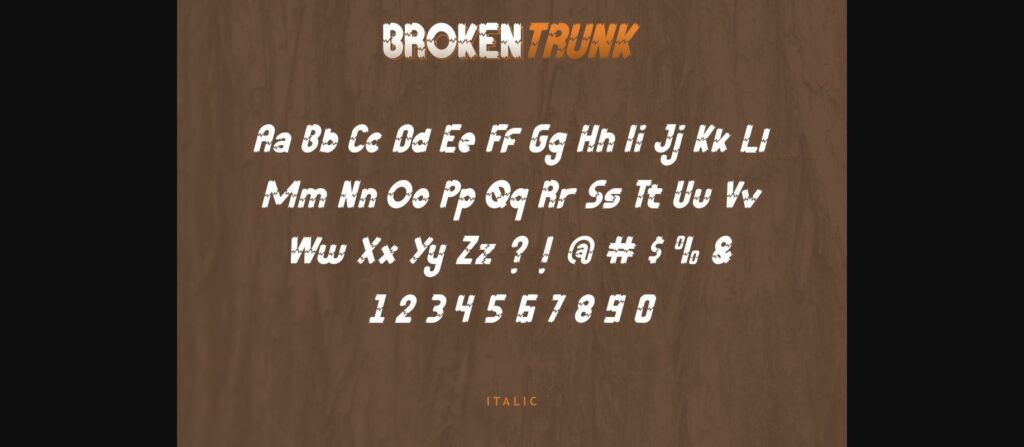 Broken Trunk Font Poster 10