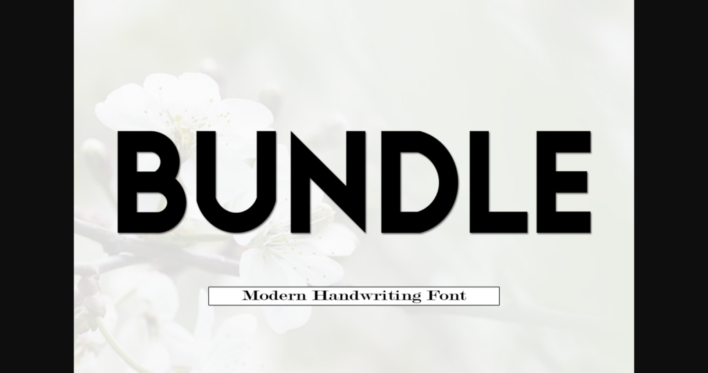 Bundle Font Poster 3