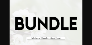 Bundle Font Poster 1