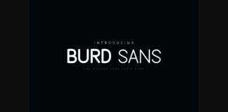 Burd Sans Font Poster 1