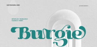 Burgie Fonts