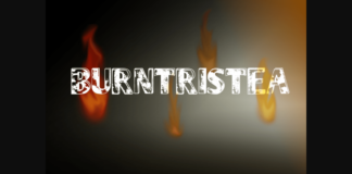 Burntristea Font Poster 1