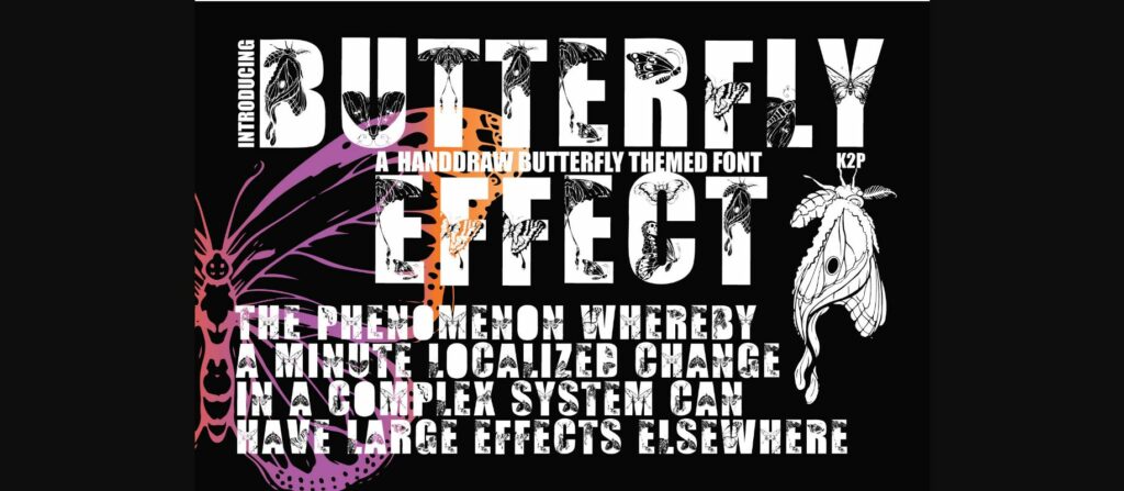 Butterfly Effect Font Poster 1