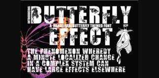 Butterfly Effect Font Poster 1