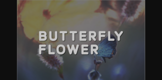 Butterfly Flower Font Poster 1