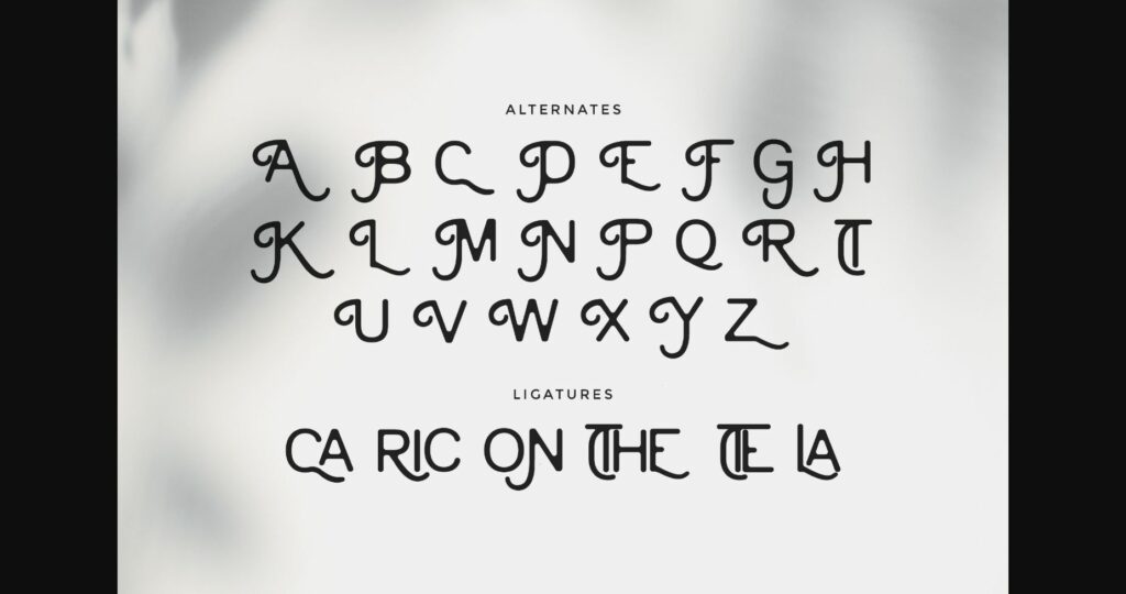 Cainamons Font Poster 10