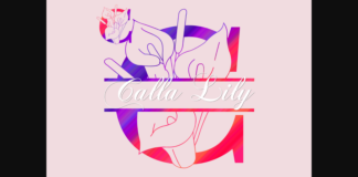 Calla Lily Split Font Poster 1