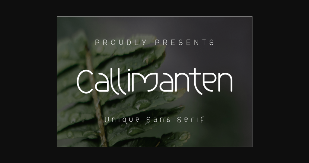 Callimanten Font Poster 3