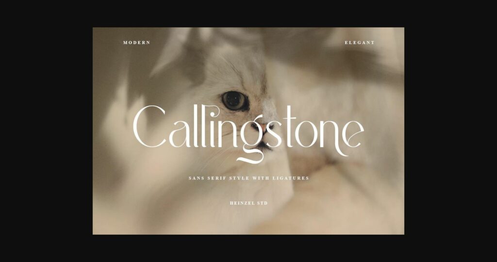 Callingstone Font Poster 1
