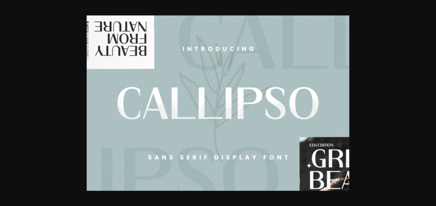 Callipso Font Poster 3