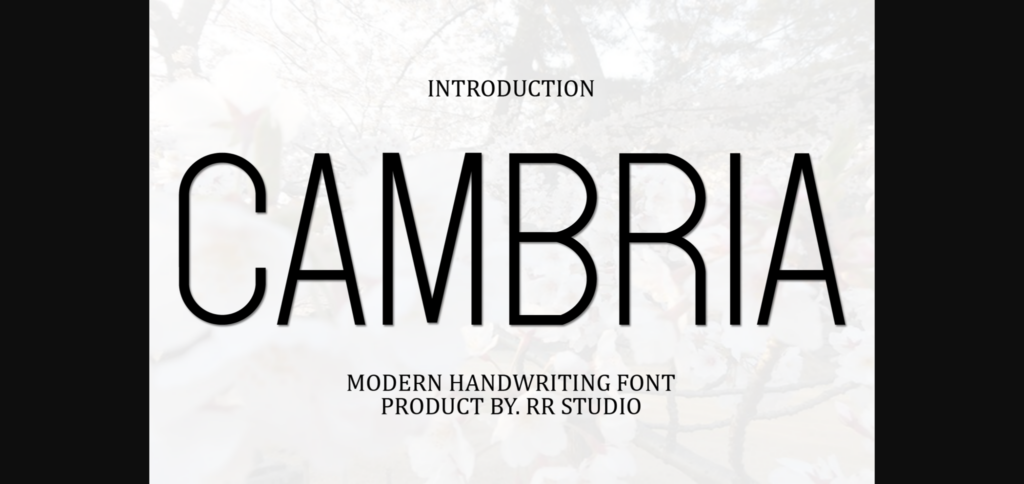 Cambria Font Poster 3