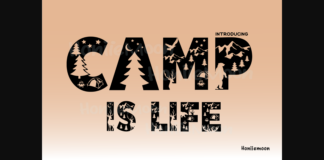 Camp is Life Font Poster 1