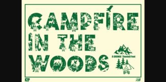 Campfire in the Woods Font Poster 1