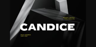 Candice Font Poster 1