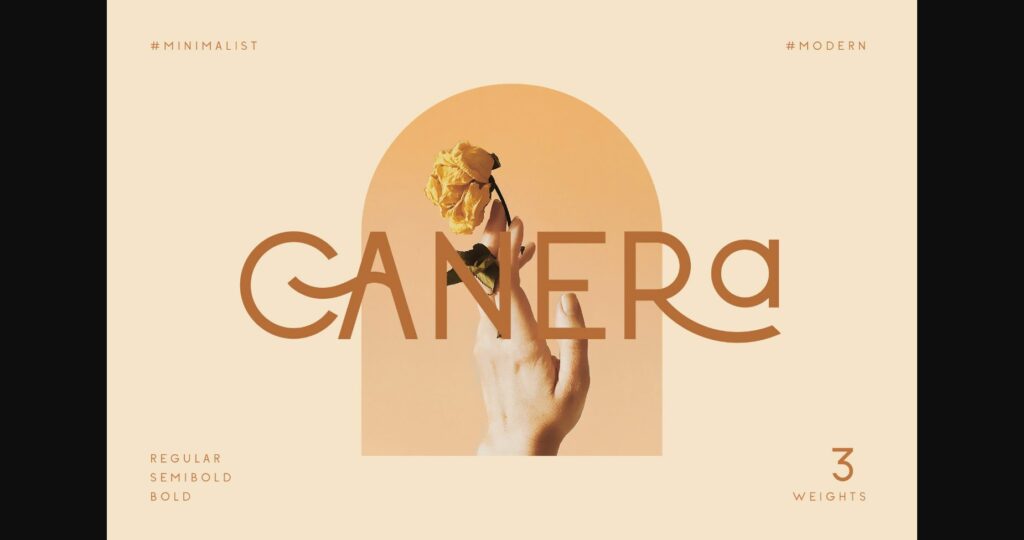 Canera Font Poster 3