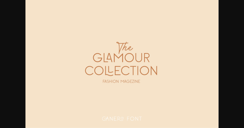 Canera Font Poster 2