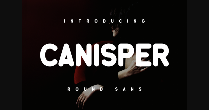 Canisper Font Poster 3