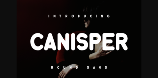 Canisper Font Poster 1