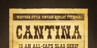 Cantina Fonts