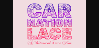 Carnation Lace Font Poster 1