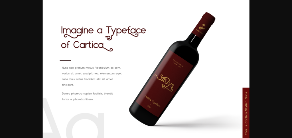 Cartica Font Poster 6