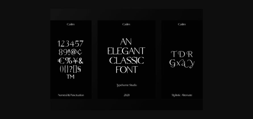 Caslim Font Poster 8