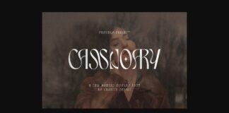 Cassnoary Font Poster 1