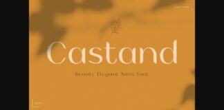 Castand Font Poster 1