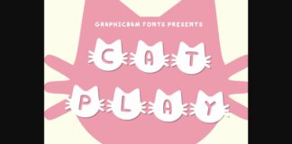 Cat Play Font Poster 1