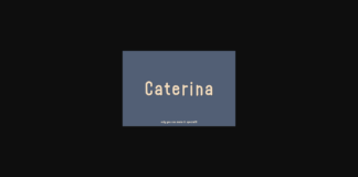 Caterina Font Poster 1