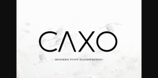 Caxo Font Poster 1