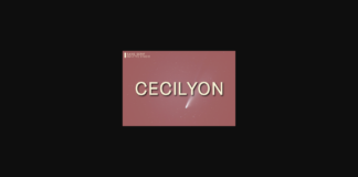 Cecilyon Font Poster 1