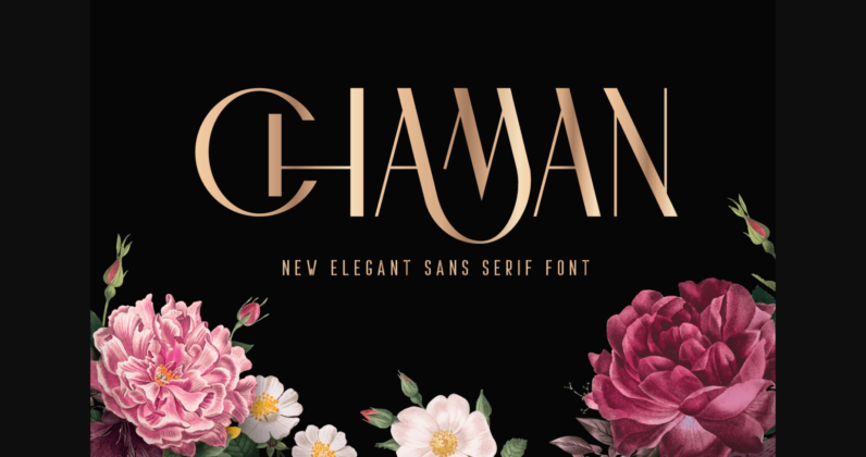 Chaman Font Poster 3