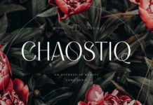 Chaostiq Fonts