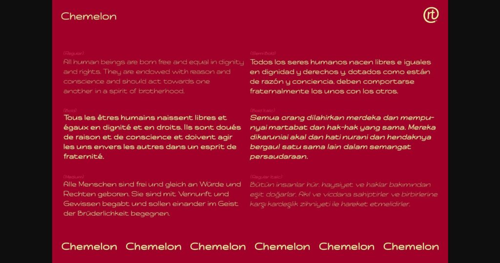 Chemelon Font Poster 8