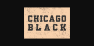 Chicago Black Font Poster 1