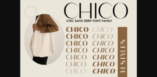 Chico Font Poster 1