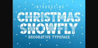 Christmas Snowfly Font Poster 1