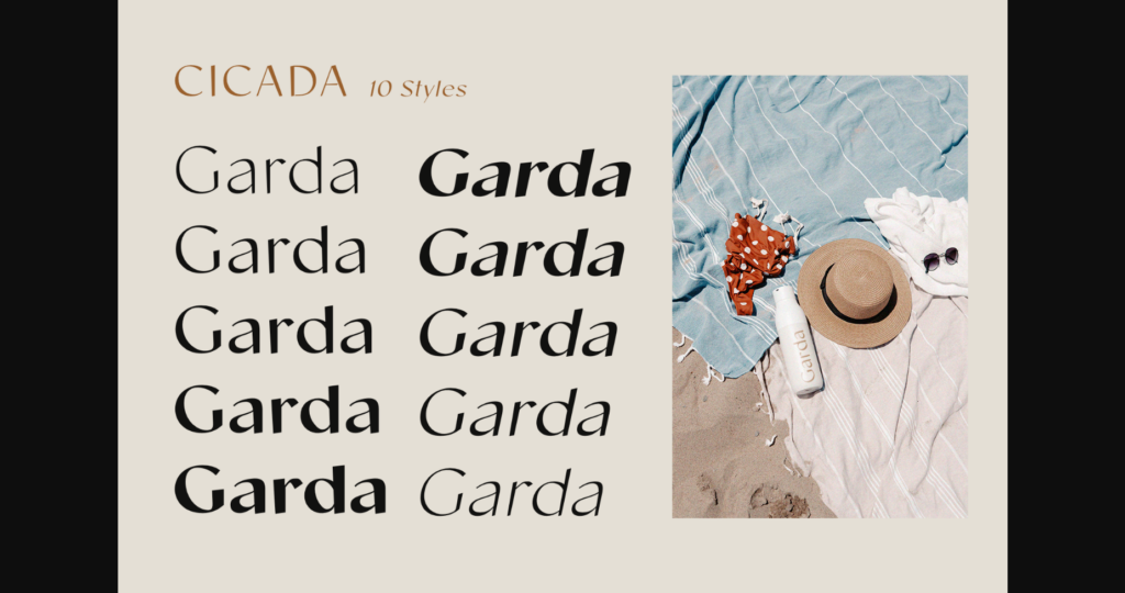 Cicada Font Poster 5