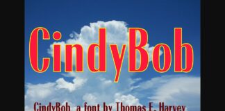 CindyBob Font Poster 1