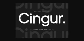 Cingur Font Poster 1