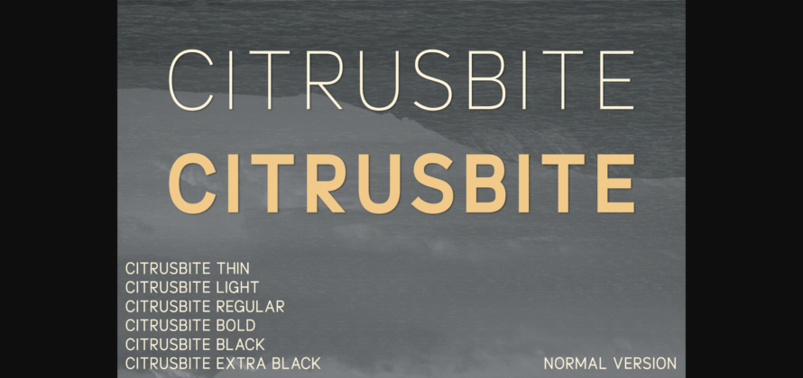 Citrusbite Font Poster 3