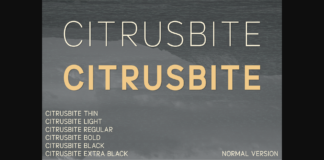 Citrusbite Font Poster 1